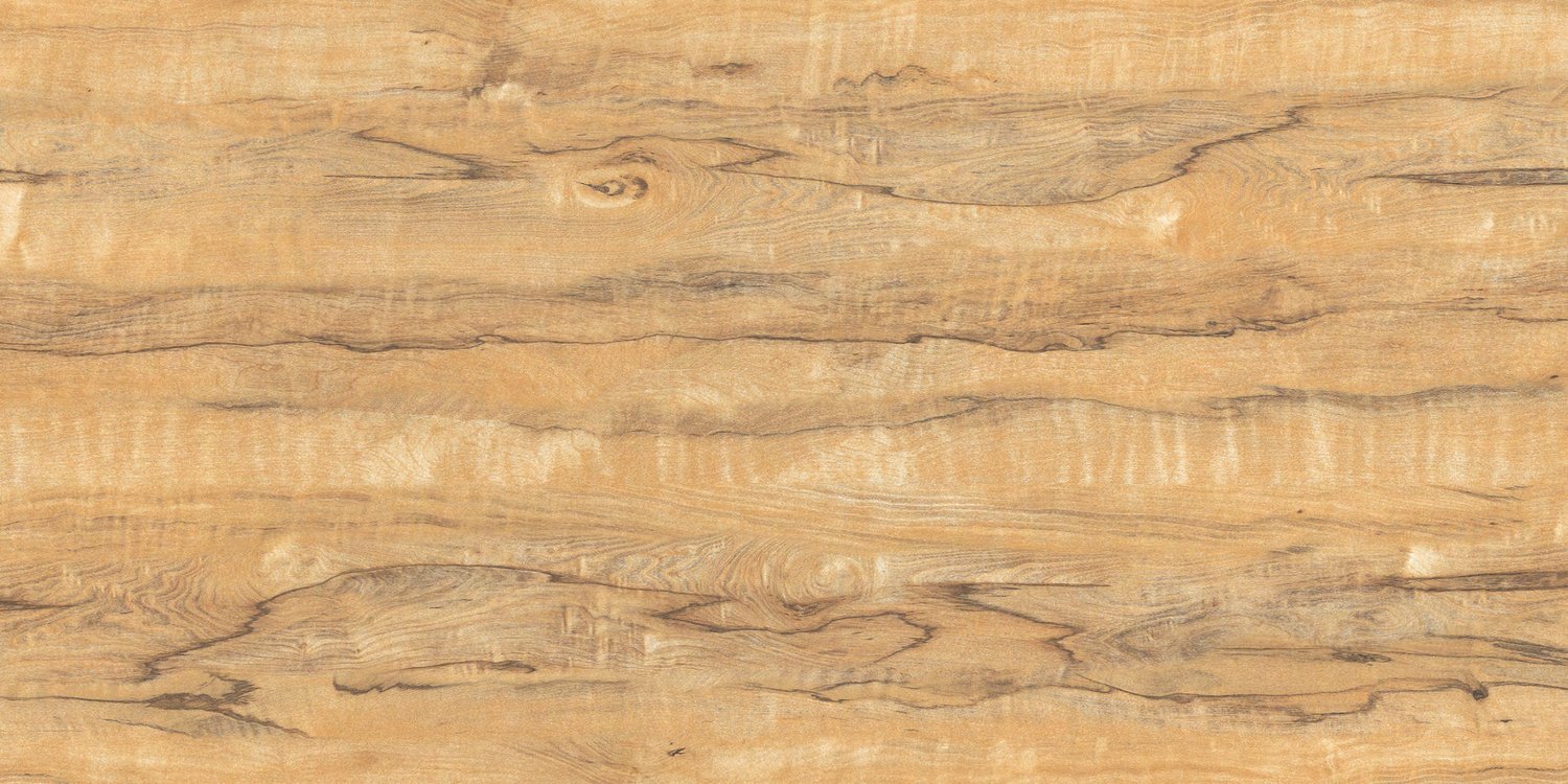 Blasam Beige, carrelage grand format 600 × 1200 mm (60 × 120 cm), fini mat, World Export & Co.