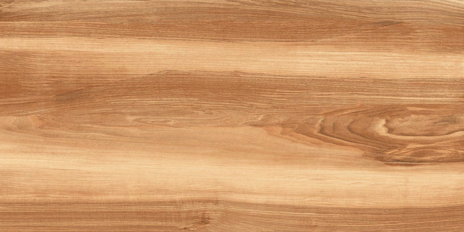 Cosmic Cotto, carrelage grand format 600 × 1200 mm (60 × 120 cm), fini mat, World Export & Co.
