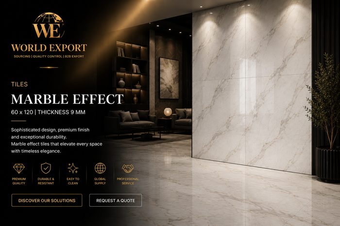 Affiche de marque World Export — Carrelage Effet Marbre 60x120, finition premium.