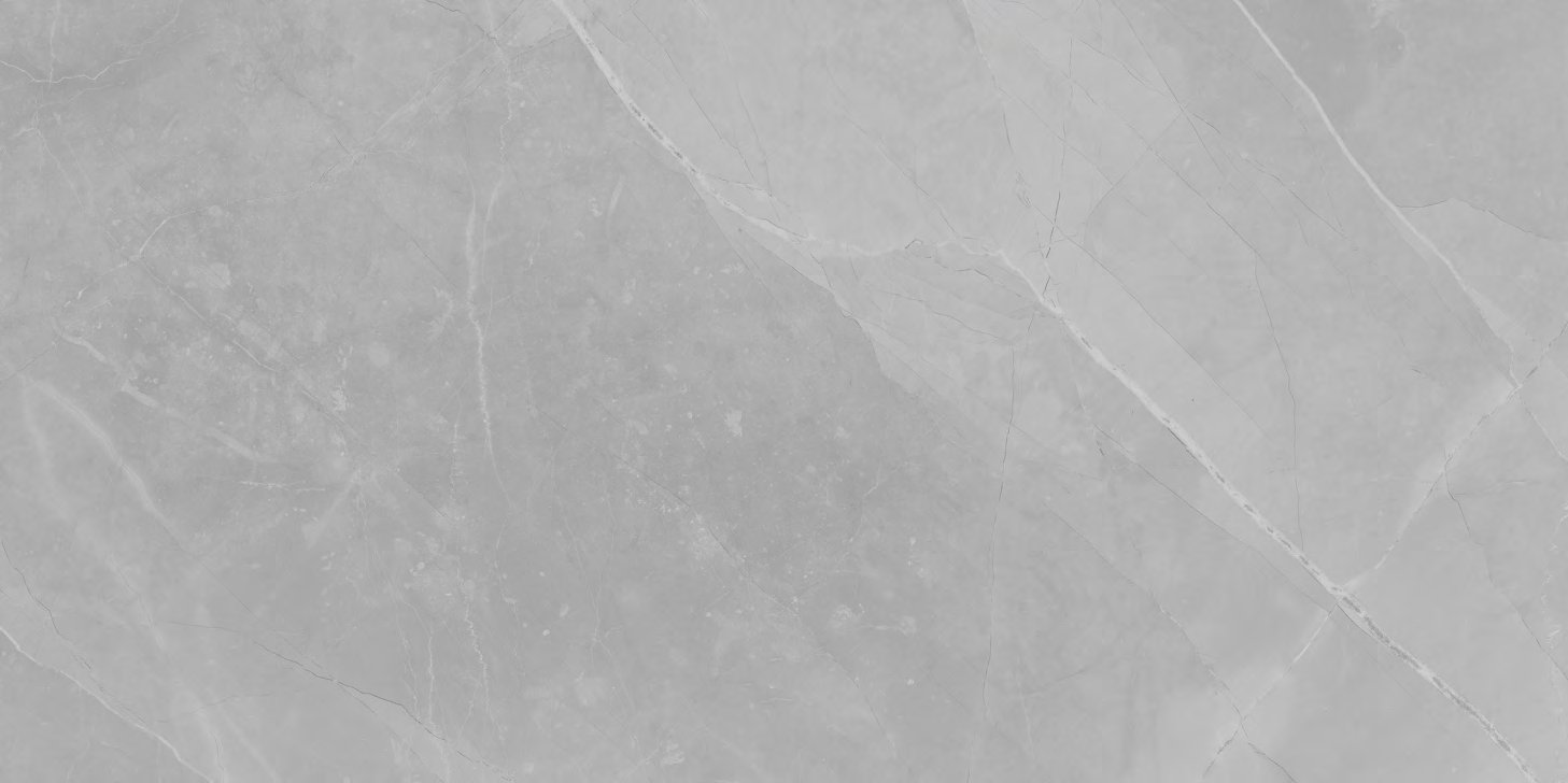 Ardesia Gris, carrelage grand format 600 × 1200 mm (60 × 120 cm), fini glossy, World Export & Co.