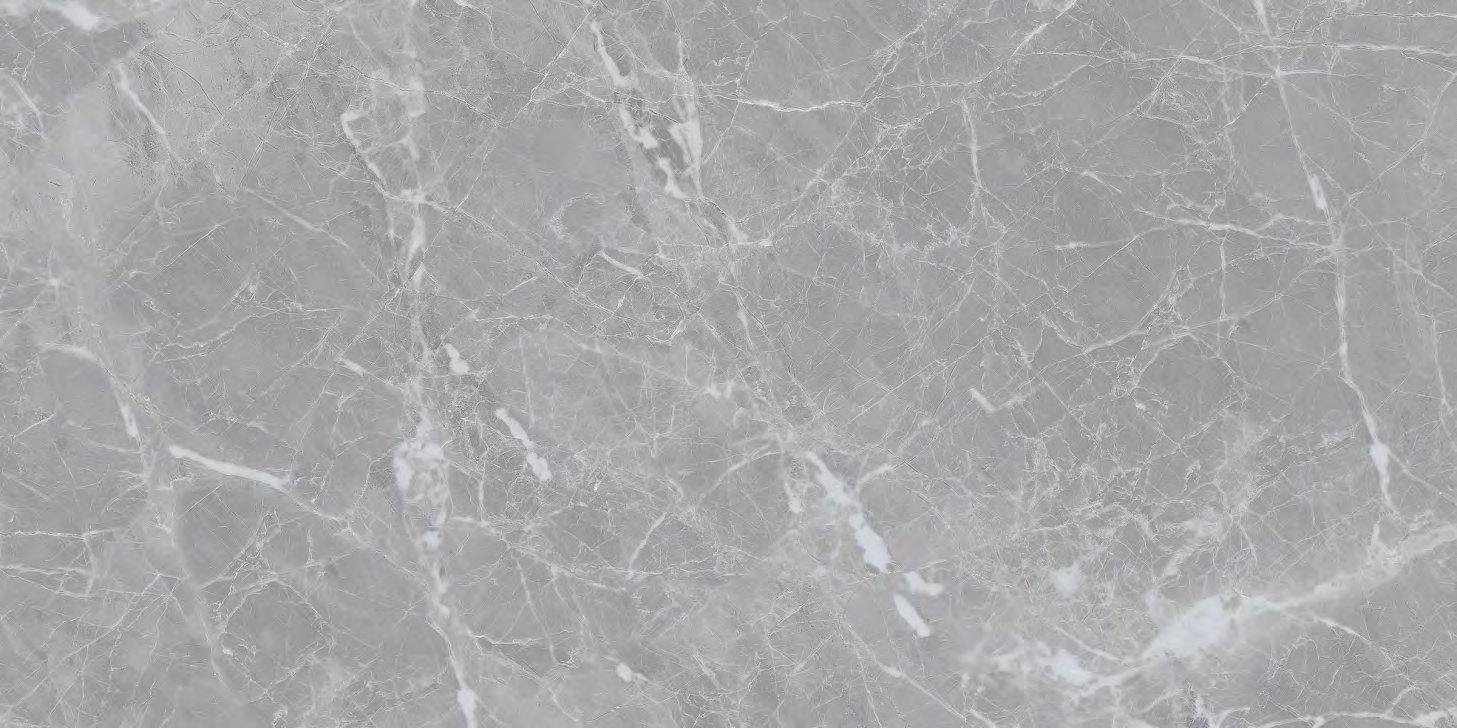 Signature Grey, carrelage grand format 600 × 1200 mm (60 × 120 cm), fini glossy, World Export & Co.