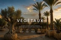 Affiche de marque World Export — Végétaux : logo World Export en tête, photo représentative de végétaux (oliviers/palmiers).
